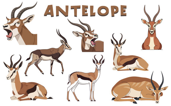 Antelope Poses Cartoon Illustration of Various Antelope Species in Different Positions.