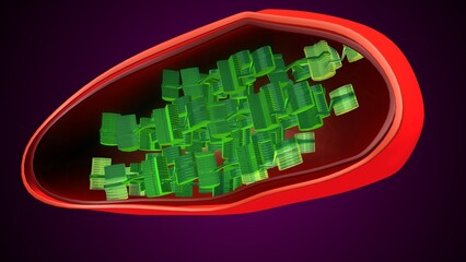Plant chloroplast anatomy. 3d illustrations