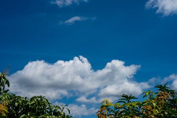 Bright Blue Sky with White Fluffy Clouds