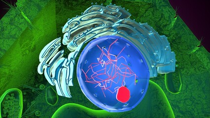 Plant nucleus anatomy. 3d illustrations