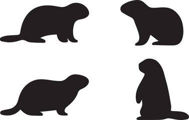 Bold number 12 graphic element in red and blue