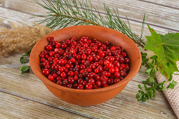 Natural organic wild forwst lingonberry
