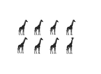 Eight Black Silhouette Giraffes Standing.