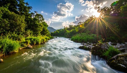 Sunlight streams on a rushing river through lush greenery
