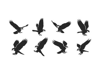 Naklejka premium Silhouette Collection of Birds of Prey in Flight 1.