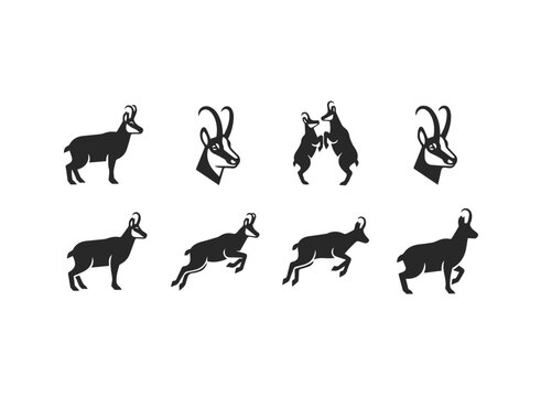 Silhouette Collection of Chamois Animal Icons.