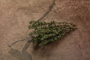Fresh green Thyme branch isolated