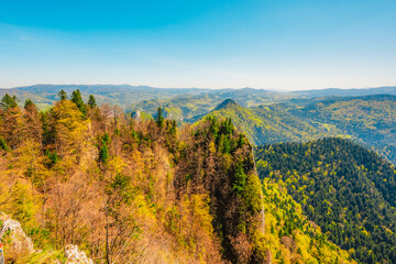 Hiking to peak Tri Koruny or Trzy Korony during day. Pieniny National park in Poland. View from the lookout at the top