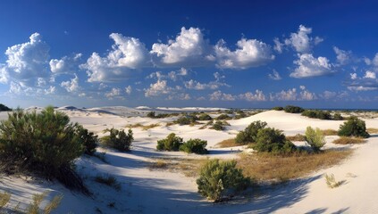 Panoramic desert landscape, white sand dunes, scrubby vegetation, clear blue sky, fluffy clouds