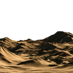 Desert landscape with sand dunes and sparse vegetation