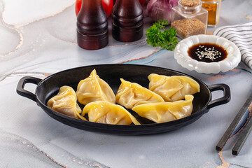 Japanese cuisine stuffed dumplings Gyoza