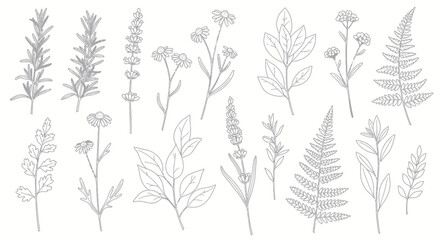 Botanical line art illustration with various plants and flowers, including ferns, lavender, and other wildflowers.