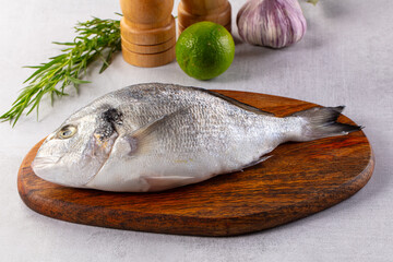 Raw fresh uncooked dorada fish