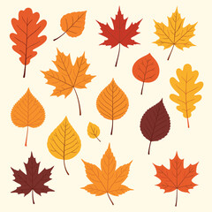 A beautiful collection of autumn leaves in various shapes and warm colors.
