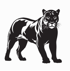 Puma Big Cat Vector Illustration in Standing Position on white background