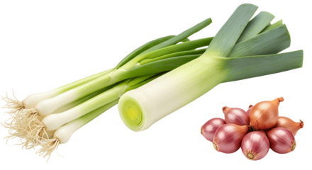 Set of 3 different vegetables isolated on white background with clipping path – fresh green onion, leek, and shallot, organic allium vegetables for cooking ingredients, healthy diet, farm produce, and