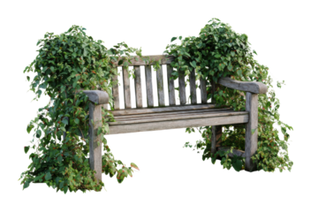 Overgrown bench surrounded by greenery in nature isolated on transparent background