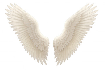Fototapeta premium Angel wings spreading, isolated on transparent background, symbolizing spirituality, freedom, and heaven