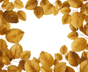 Golden autumn leaves frame nature view vibrant isolated on transparent background