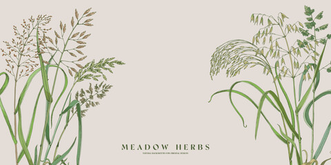 Horizontal banner with wild herbs
