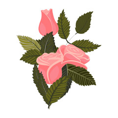 A composition of two lovely light pink roses, a bud, and leaves. Vector illustration on a white background.