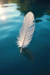 Serene Feather on Tranquil Blue Lake Sunlight Reflecting, Peaceful Nature Scene