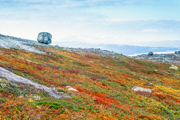 Colorful autumn colors on the ground in a mountain landscape