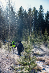 Hikers path in a forest a cold frosty winter day