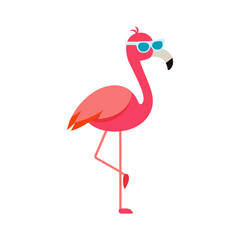 flamingo vector illustration