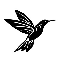hummingbird vector illustration