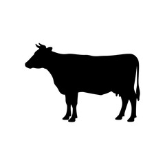 silhouette of a cow