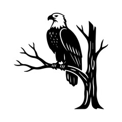 Obraz premium eagle on a branch