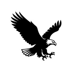 eagle vector illustration