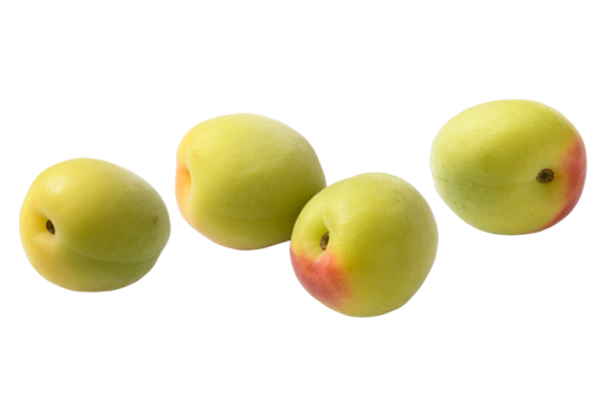 梅の切り抜き画像、素材向け