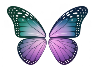 Vibrant Butterfly Wings with Gradient Colors on transparent background Black Background