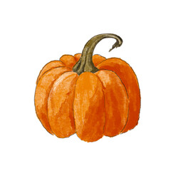 A pumpkin for halloween