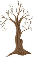 Bare Tree Vector Illustration. Leafless Winter or Autumn Tree on White Background.