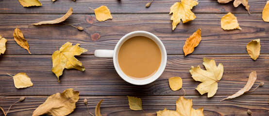 Cup of cocoa with autumn leaves abstract still life top view vith copy space