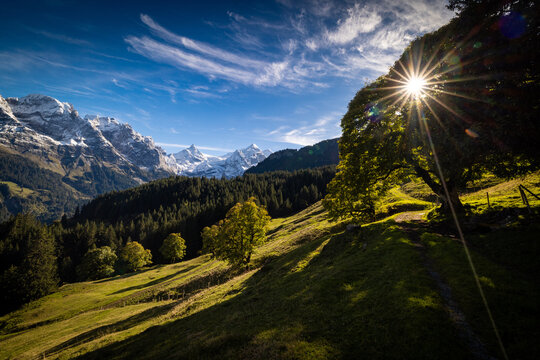Glacier of Rosenlauigletscher and peaks of Tossen and Wetterhorn in autumn with fresh snow in Reichenbach Valley in Berner Oberland
