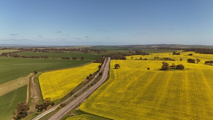 Fototapeta premium Auburn, South Australia – Aerial Drone Footage Featuring Vibrant Canola Fields, Rolling Farmlands, Country Roads, Green Hills, Scenic Agricultural Landscape of the Clare Valley