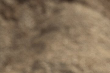 brown background, the photo shows a blurred image with glare and soft effect
