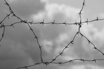 gray background, in the photo barbed wire against the gray sky