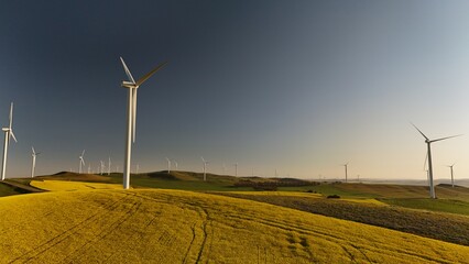 North Brown Hill Wind Farm, Belalie East, South Australia – Aerial Drone View of Yellow Canola Fields, Wind Turbines, Green Hills, and Renewable Energy Landscape in Rural Mid North SA