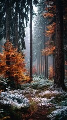 Nature's palette: a harmonious blend of fall colors and snow. Natural mood. Enchanting frosty veins adorning an autumn landscape. Real life. True vision.