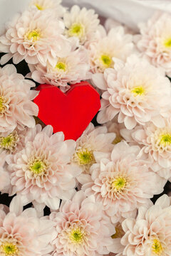 Beautiful arrangement of soft pink flowers with a vibrant red heart nestled among the petals, symbolizing love and affection in a romantic setting. A holiday card for Valentine's day or Mother's Day.