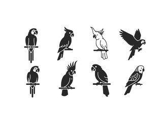 Collection of Stylized Parrot and Cockatoo Icons.