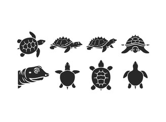 Set of Black Turtle Silhouettes on White Background.