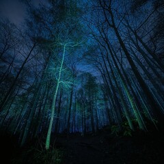 Eerie Night Forest with Glowing Blue Trees Under Dark Sky – Mystical Fantasy Landscape