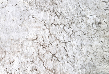 Background with texture of stucco and cracked paint. Horizontal or vertical banner with stucco wall surface with chipped old paint of white color