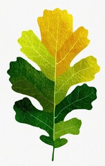 Vibrant autumn oak leaf with layered colors